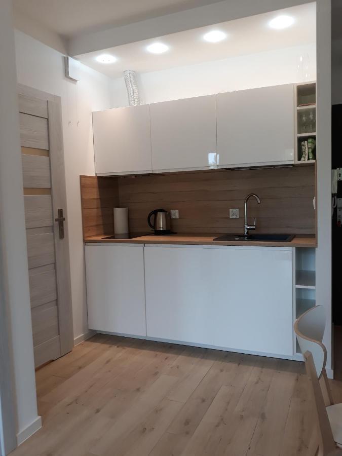 Apartament Szary Wilk Swieradow-Zdroj Exterior photo
