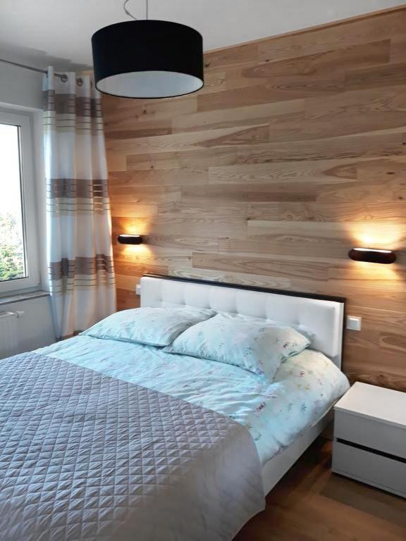 Apartament Szary Wilk Swieradow-Zdroj Exterior photo